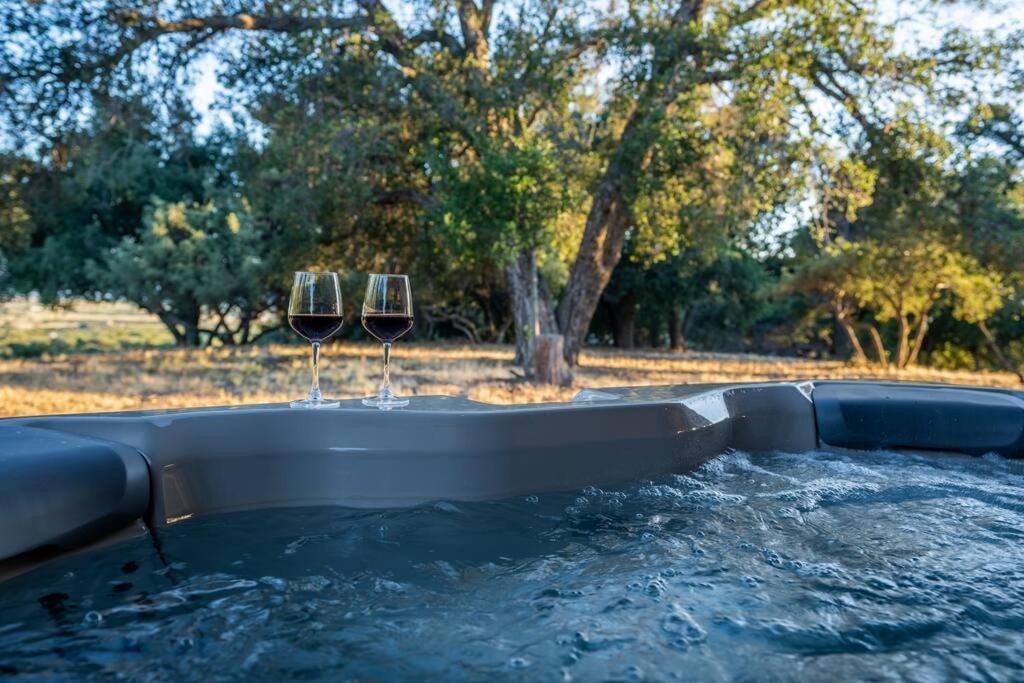 Вілла Country Cowboy Hot Tub Hideaway On 20 Acres Борреґо-Спрінґс Екстер'єр фото